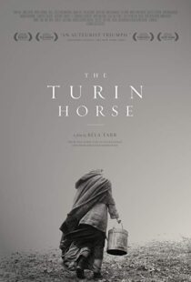 دانلود فیلم The Turin Horse 201110493-397500827