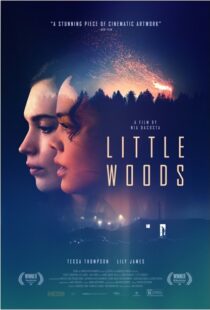 دانلود فیلم Little Woods 201822292-347057937