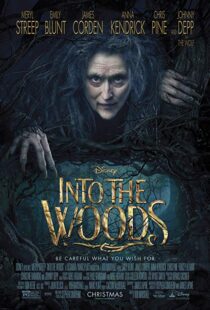 دانلود فیلم Into the Woods 20143675-1546553928