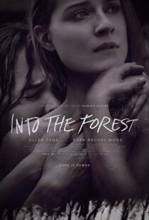 دانلود فیلم Into the Forest 20159776-420853559