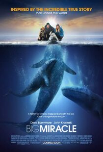 دانلود فیلم Big Miracle 201218814-467016579