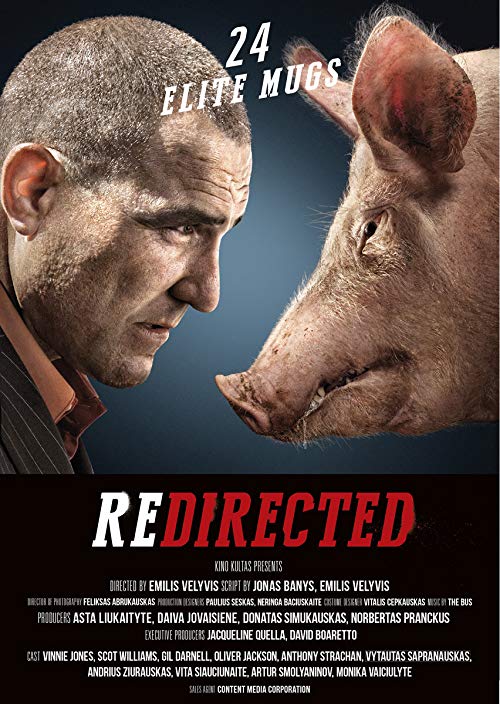 دانلود فیلم Redirected 2014