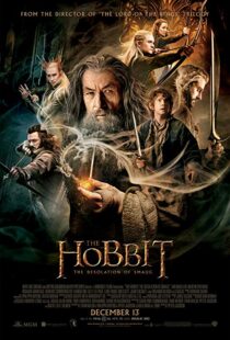 دانلود فیلم The Hobbit: The Desolation of Smaug 2013196262-1838250089