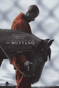 دانلود فیلم The Mustang 201910122-1970547382