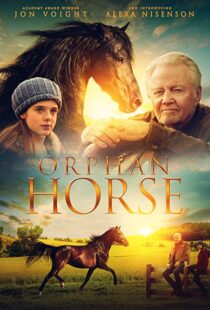 دانلود فیلم Orphan Horse 20188125-511459832