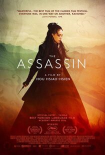 دانلود فیلم The Assassin 201513760-1548317685