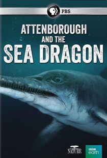 دانلود مستند Attenborough and the Sea Dragon 20188753-2015783292