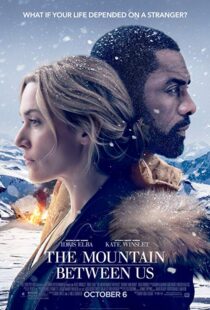 دانلود فیلم The Mountain Between Us 20172642-1511506266