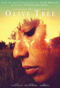 دانلود فیلم The Olive Tree 201615934-204012468