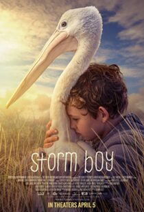 دانلود فیلم Storm Boy 20199003-1277711780