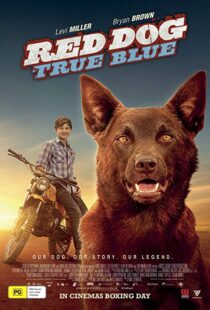 دانلود فیلم Red Dog: True Blue 20168899-851667111