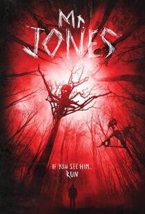 دانلود فیلم Mr. Jones 201337611-330236081