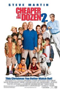 دانلود فیلم Cheaper by the Dozen 2 200534536-1717277187