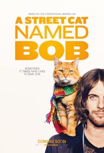 دانلود فیلم A Street Cat Named Bob 201641621-390309201