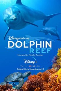 دانلود مستند Dolphin Reef 201838724-3120001