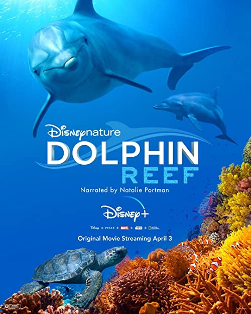 دانلود مستند Dolphin Reef 2018