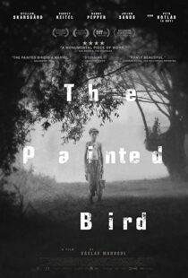 دانلود فیلم The Painted Bird 201943285-382987013