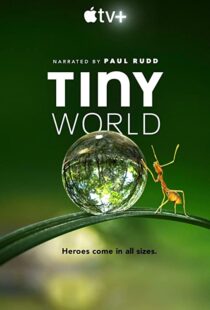 دانلود مستند Tiny World52124-1074655980