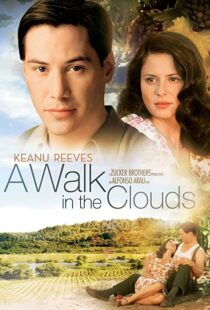 دانلود فیلم A Walk in the Clouds 199553815-518934022