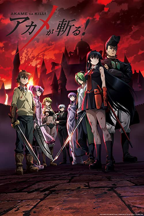 دانلود انیمه Akame ga Kill