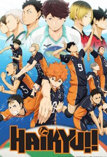 دانلود انیمه Haikyu!!80601-1943143702