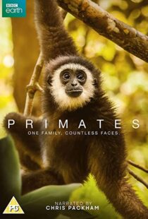 دانلود مستند Primates77865-371455900