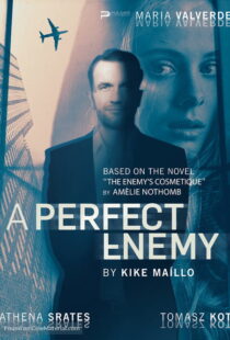 دانلود فیلم A Perfect Enemy 202082295-930874231