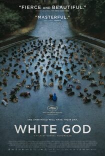 دانلود فیلم White God 201482109-642103145