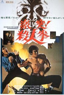 دانلود فیلم The Street Fighter 197483791-1779479418