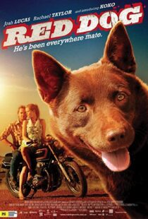 دانلود فیلم Red Dog 201187414-1545314832