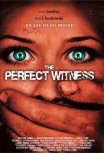 دانلود فیلم The Perfect Witness 200796937-315451174