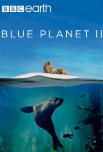 دانلود مستند Blue Planet II100194-2120962392