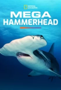 دانلود مستند Mega Hammerhead 2016103122-1334871956