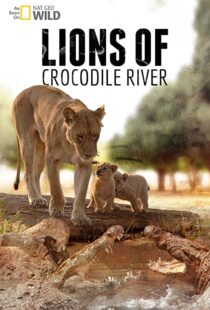 دانلود مستند Lions of Crocodile River 2007103328-736899611