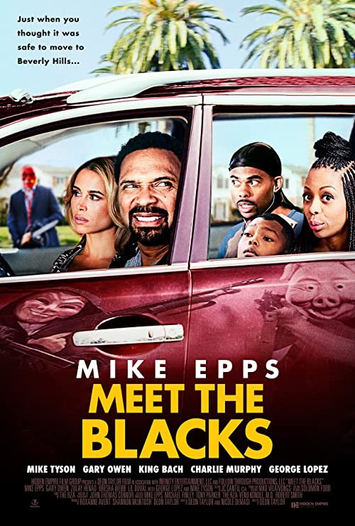 دانلود فیلم Meet the Blacks 2016