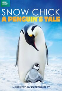 دانلود مستند Snow Chick: A Penguin’s Tale 2015109604-358834196