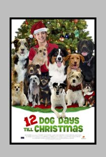 دانلود فیلم 12 Dog Days Till Christmas 2014100712-600852132