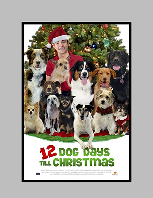 دانلود فیلم 12 Dog Days Till Christmas 2014