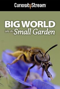 دانلود مستند Big World in a Small Garden 2016102965-228929219