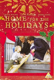 دانلود فیلم Home for the Holidays 2005101843-1088207626