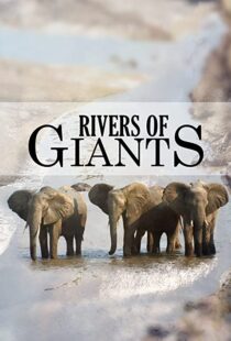 دانلود مستند Rivers of Giants 2005102245-1677155940