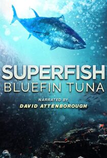 دانلود مستند Superfish Bluefin Tuna 2012101607-1048672206