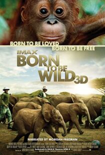 دانلود مستند Born to Be Wild 2011110503-1763646748