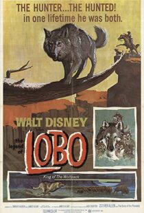 دانلود فیلم The Legend of Lobo 1962111441-1375240152