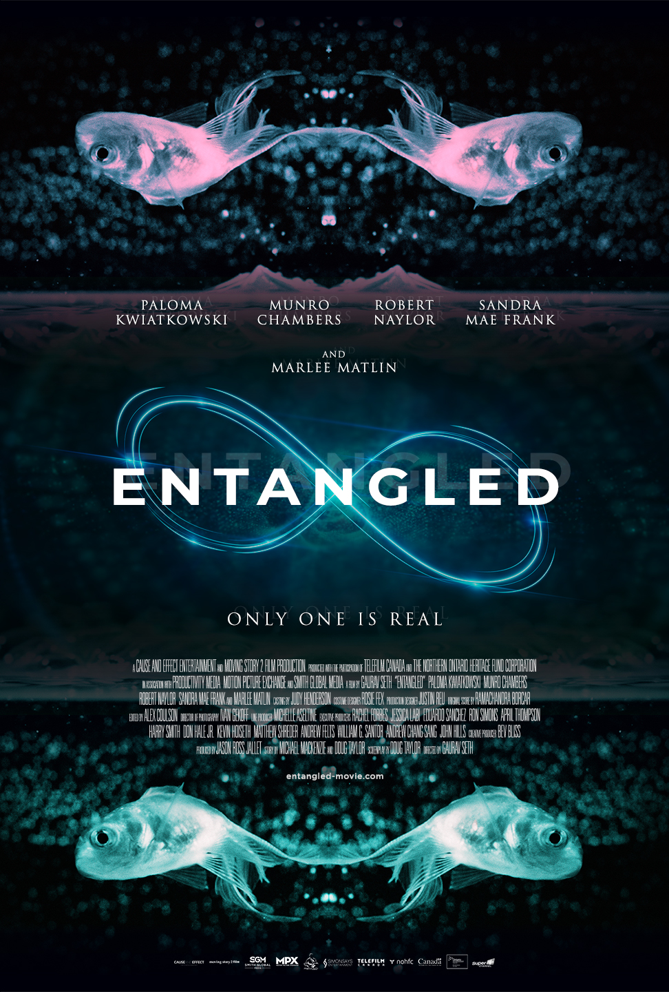 دانلود فیلم Entangled 2019