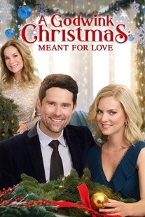 دانلود فیلم A Godwink Christmas: Meant for Love 201931842-420808007