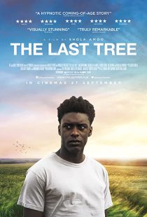 دانلود فیلم The Last Tree 201931686-363155888