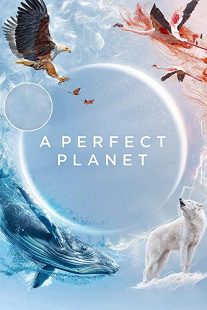 دانلود مستند A Perfect Planet231098-2141019684