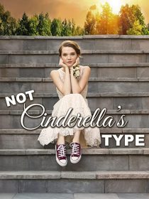 دانلود فیلم Not Cinderella’s Type 2018254350-529979557