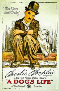 دانلود فیلم A Dog’s Life 1918270674-1667347699